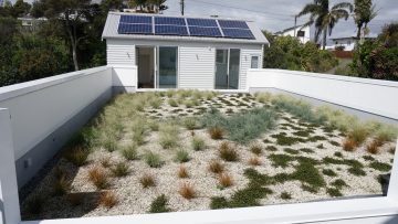 roof top garden covered in nz native plants and room with solar panels